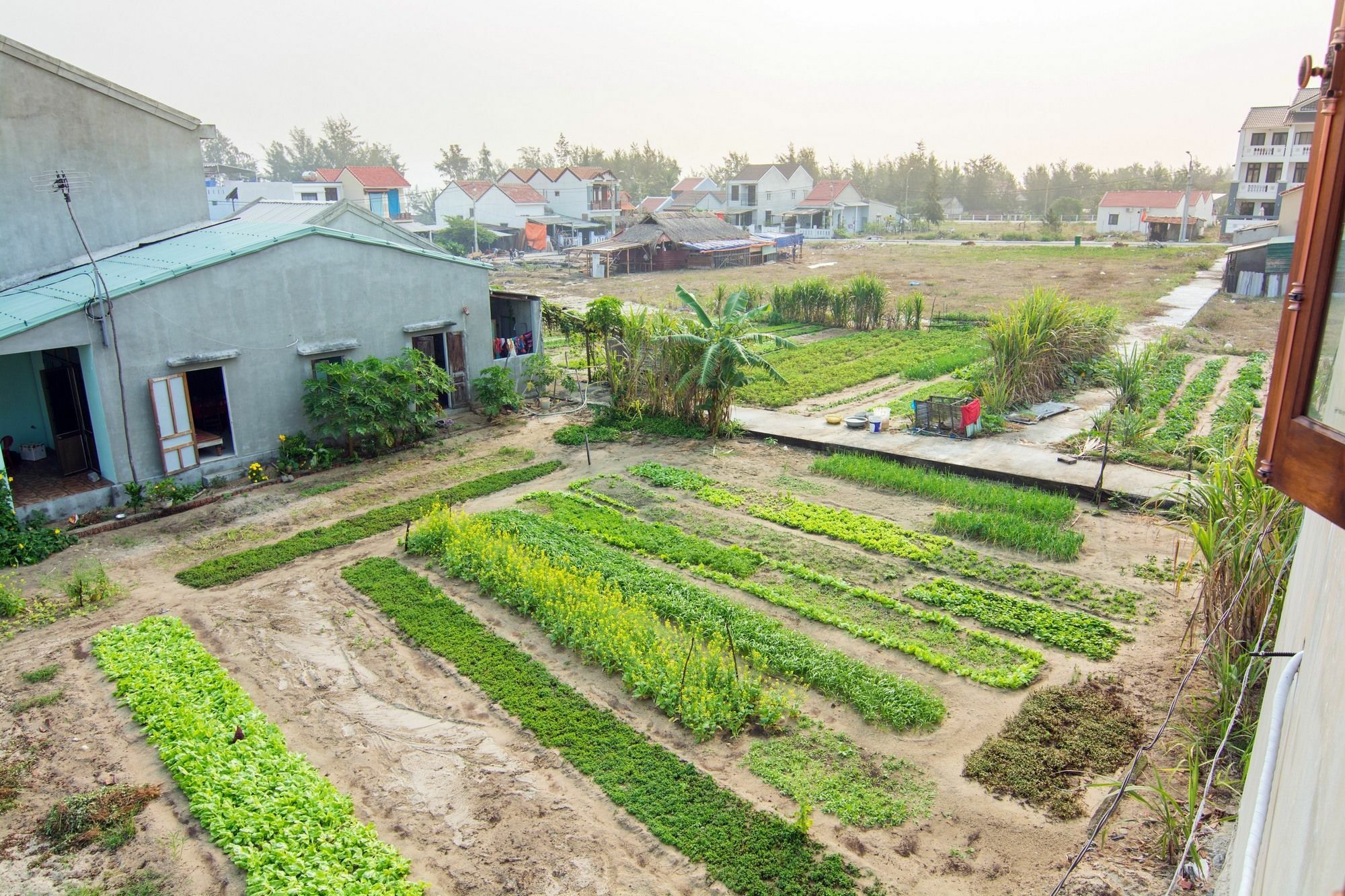 An Bang Seasnail Homestay Hoi An Exterior photo